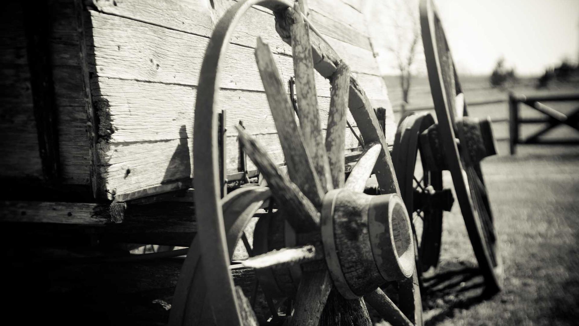 Random image from Lorem Picsum