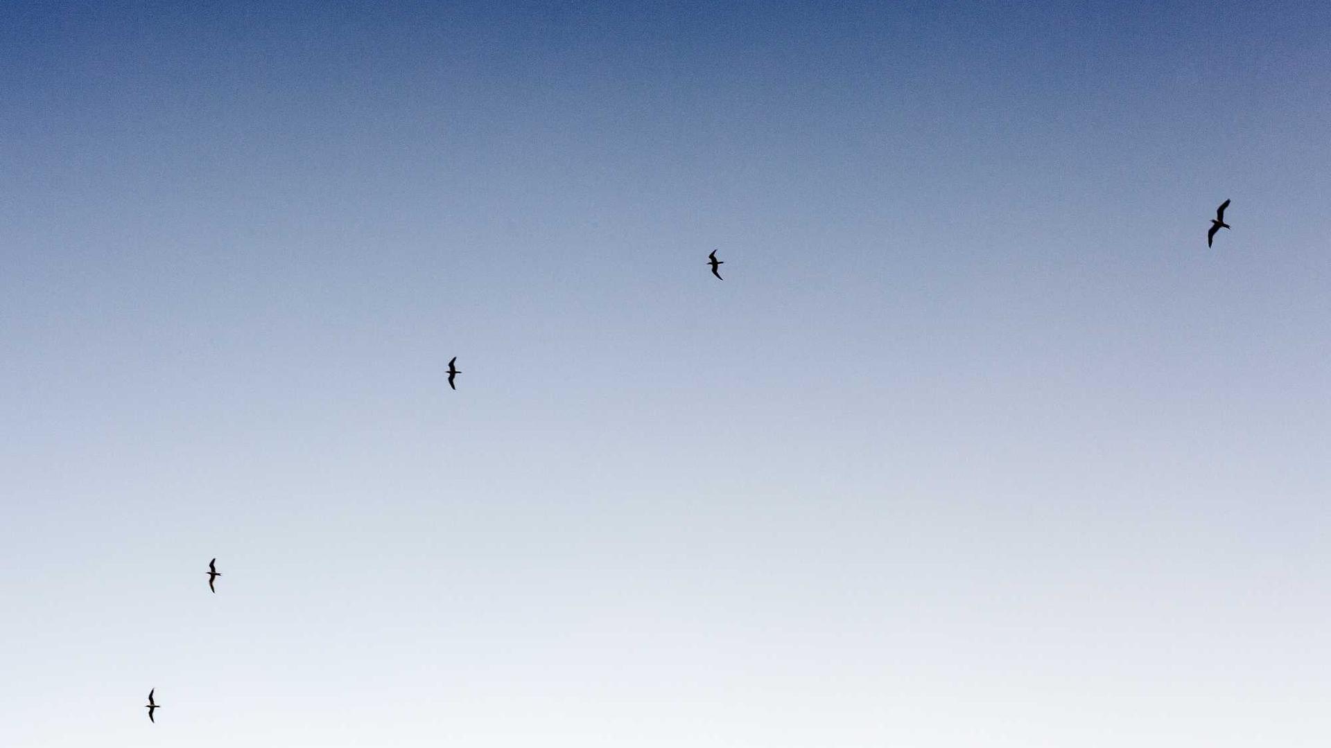 Random image from Lorem Picsum