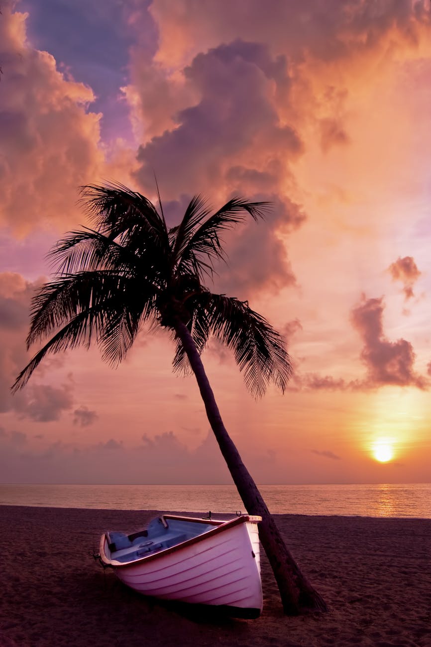 A tranquil beach scene with a palm tree and boat at sunset, perfect for backgrounds.