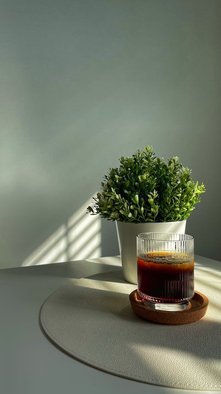 Sunlit iced coffee with potted plant on a minimalist table, exuding morning calm and natural light.