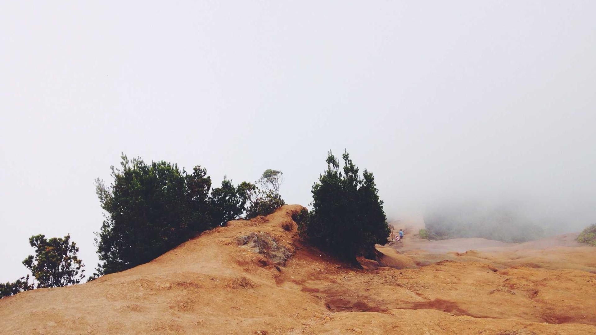 Random image from Lorem Picsum