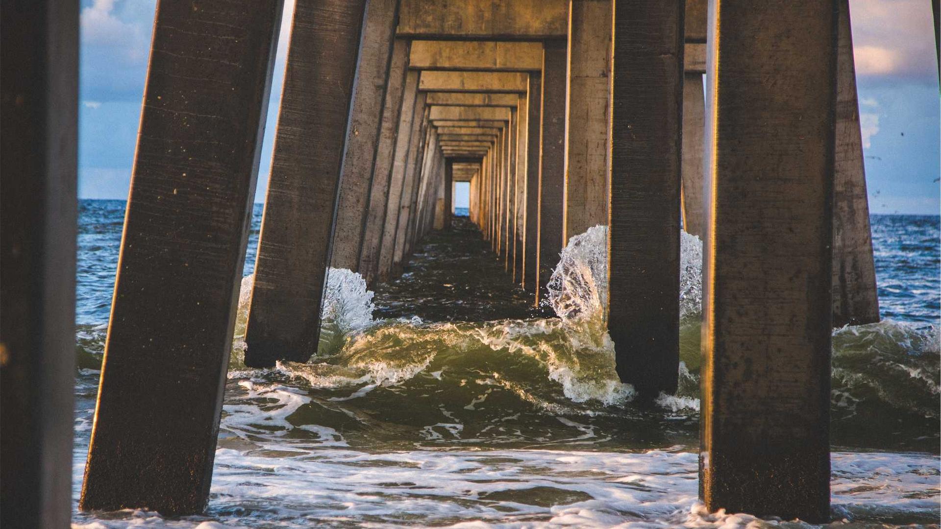 Random image from Lorem Picsum