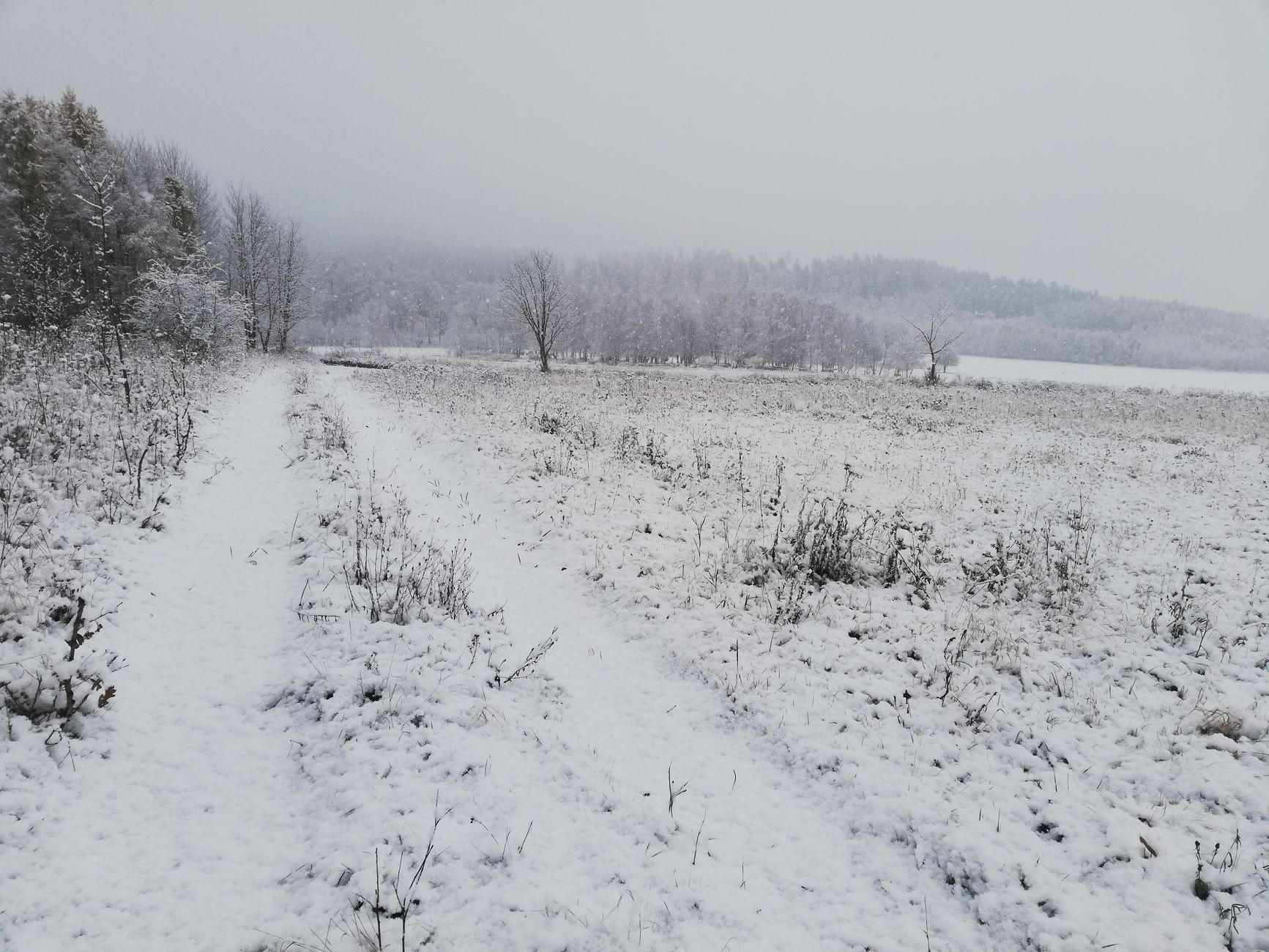 Peaceful winter scene of a snowy trail in Dolny Śląsk, Poland.