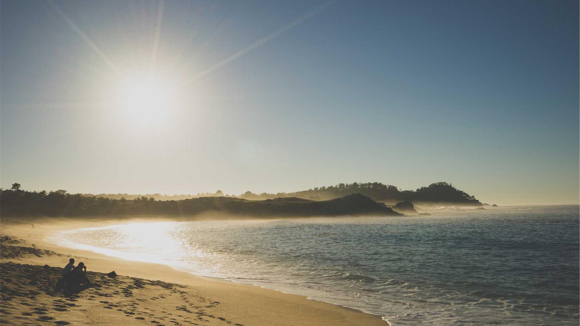 Random image from Lorem Picsum