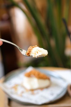 Cheesecake clasico