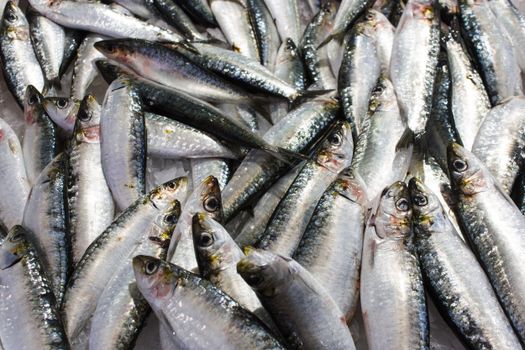 Sardinas a la parrilla