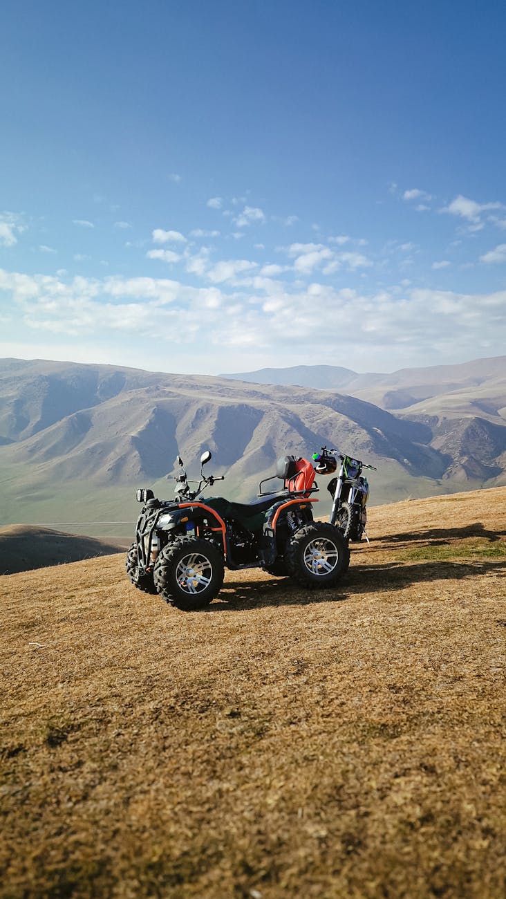 Авиабилеты в Алжир