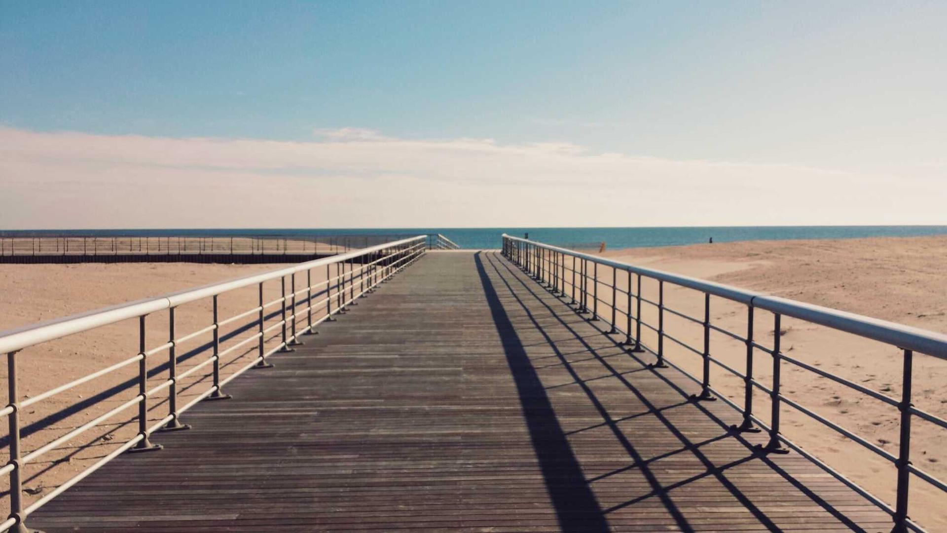 Spring Images - Free Spring Photos API | SourceSplash | SourceSplash